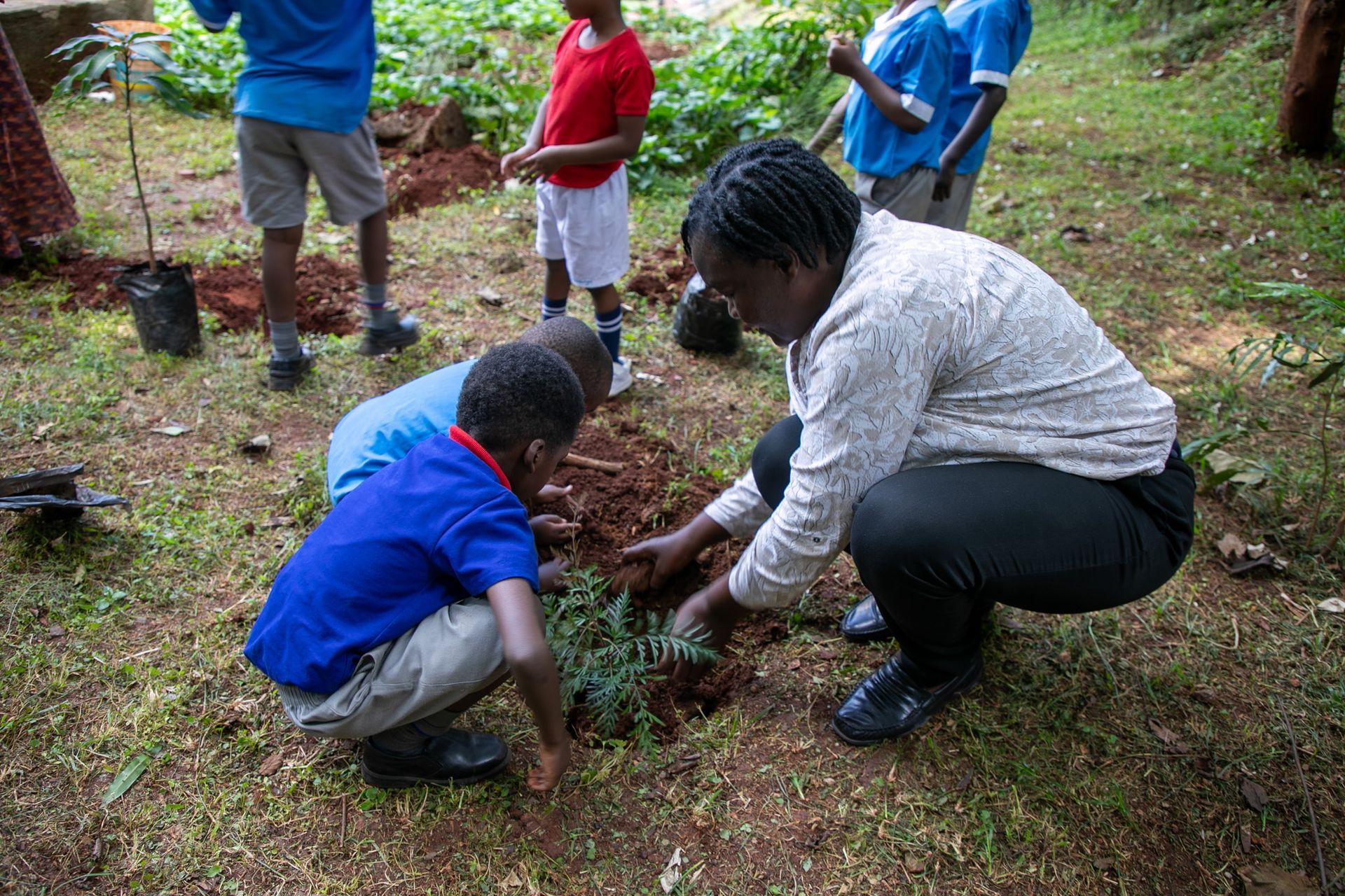 A group of people are planting trees in the dirt.