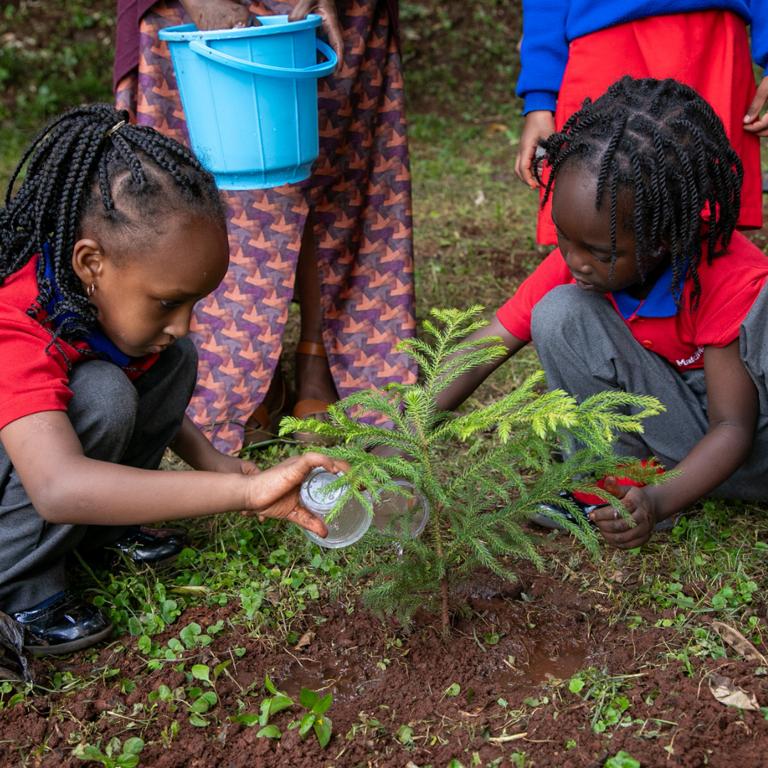 A group of children are planting a tree in the dirt.