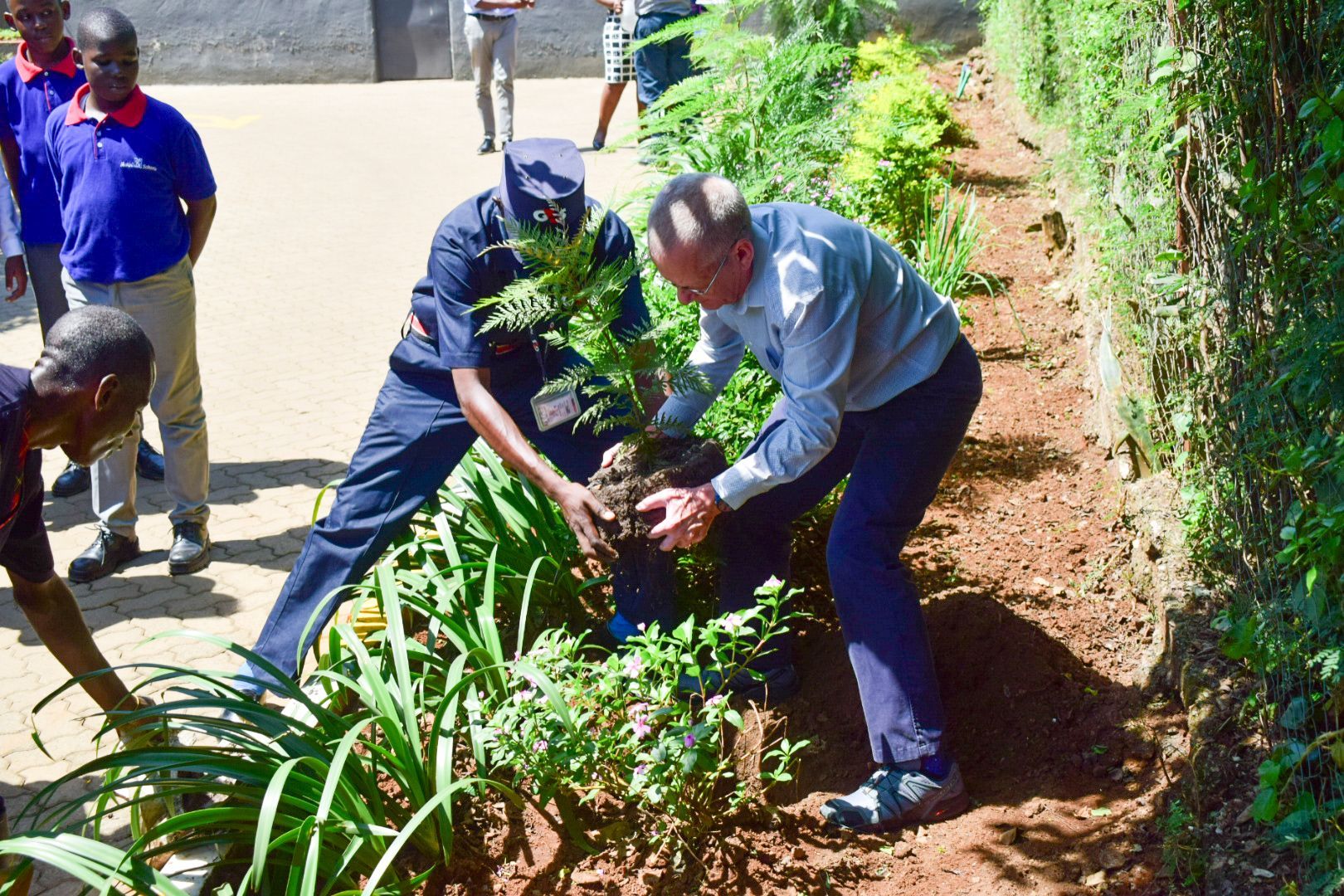 A group of people are planting trees in a garden.