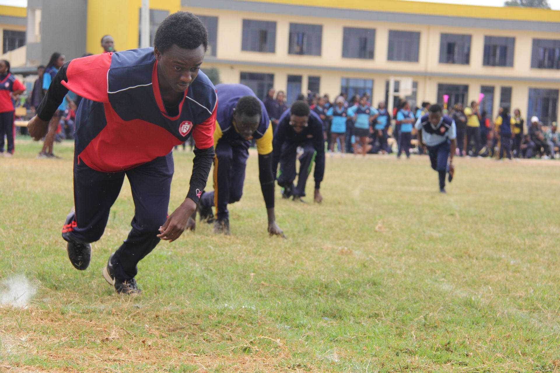 A group of children are playing soccer on a field.