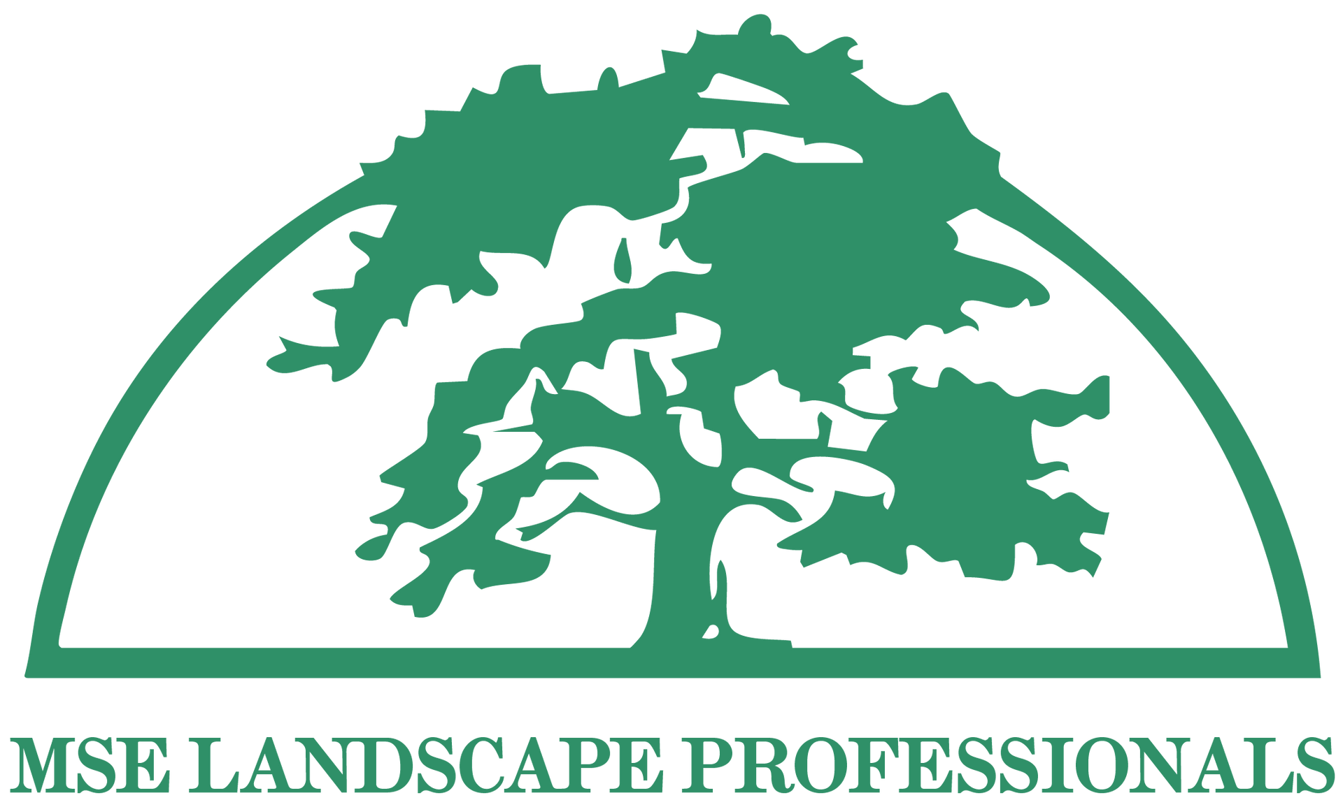 Green logo with an oak tree inside a semi-circle, with the text "MSE LANDSCAPE PROFESSIONALS" below.