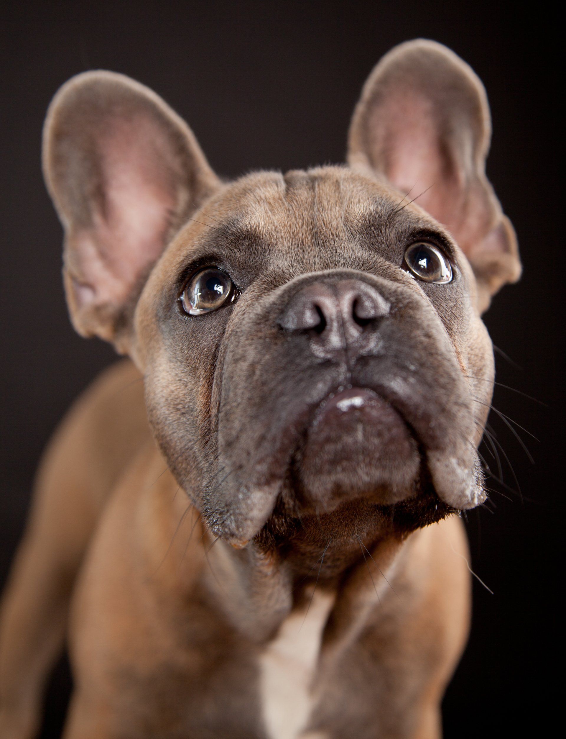 Rosenheim und Raubling Fotostudio