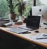 A cluttered wooden desk with a laptop, graphics tablet, papers, and two potted plants in front of a window.