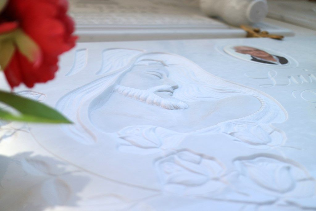 Un disegno di una donna con un fiore rosso in primo piano