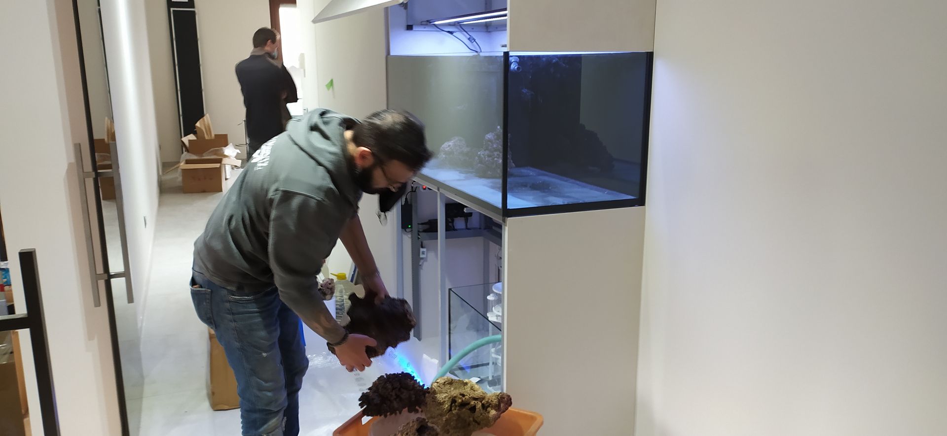 costruzione acquario marino