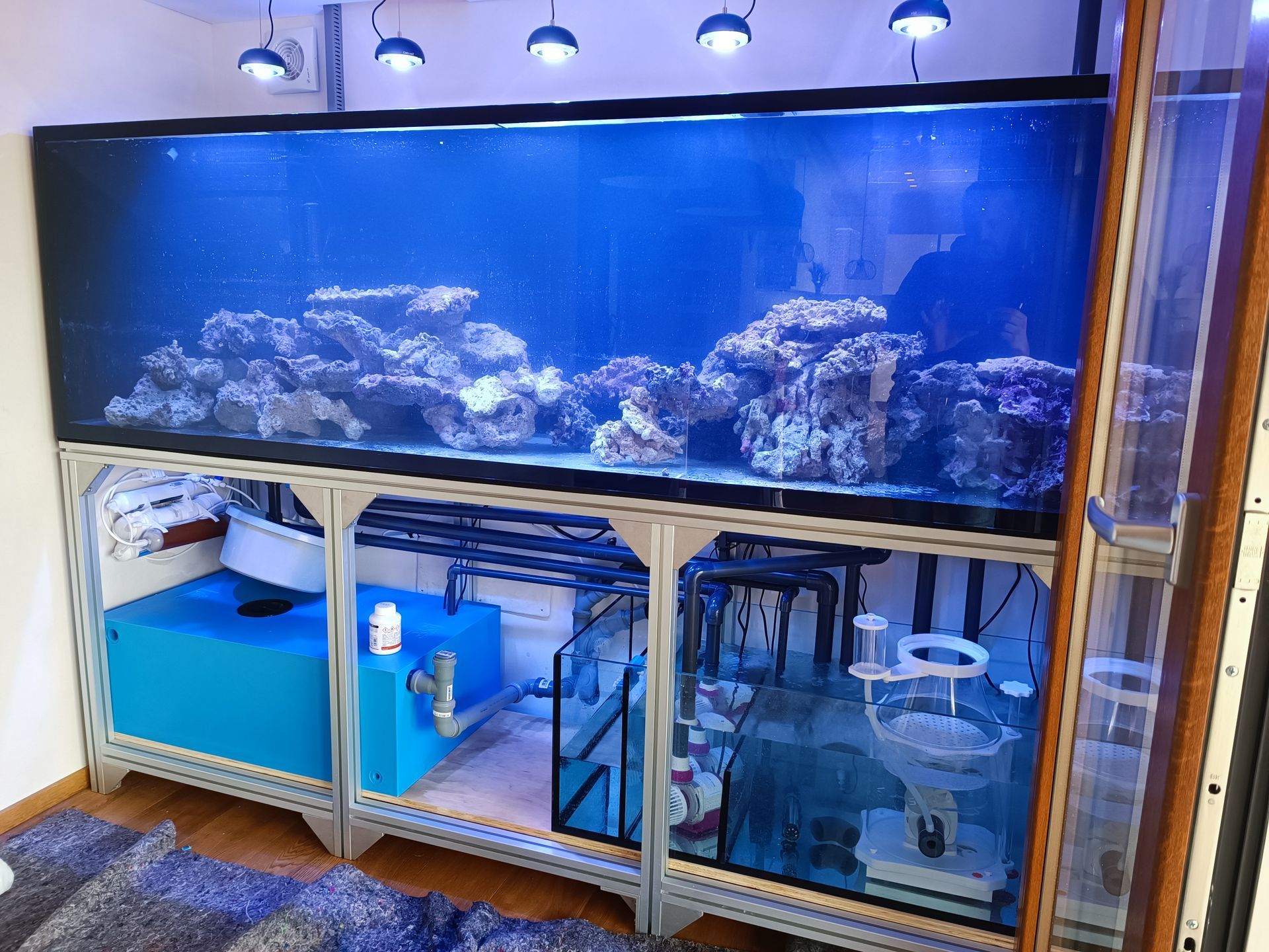 acquario marino 1300lt