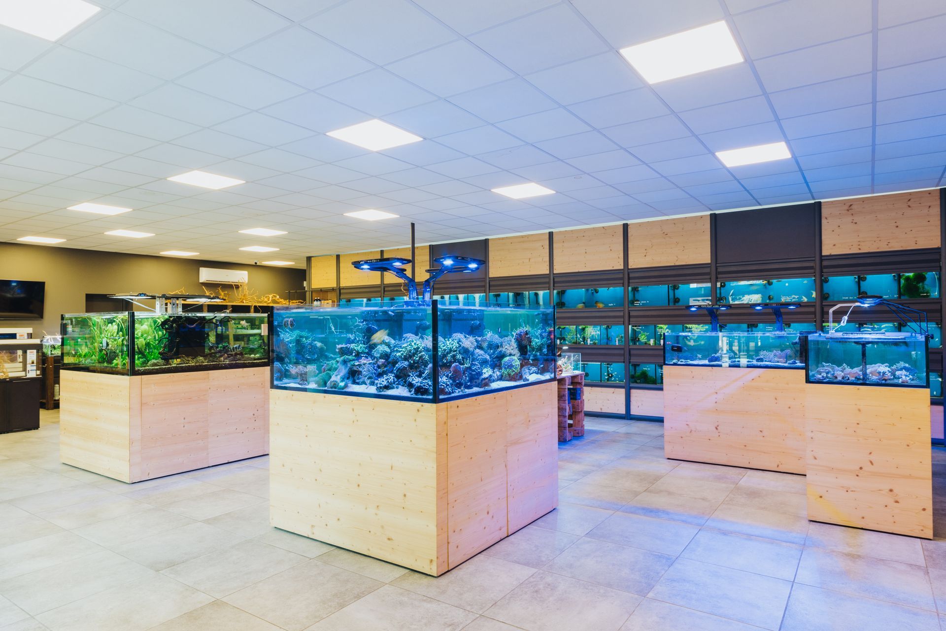 negozio di acquari a piacenza