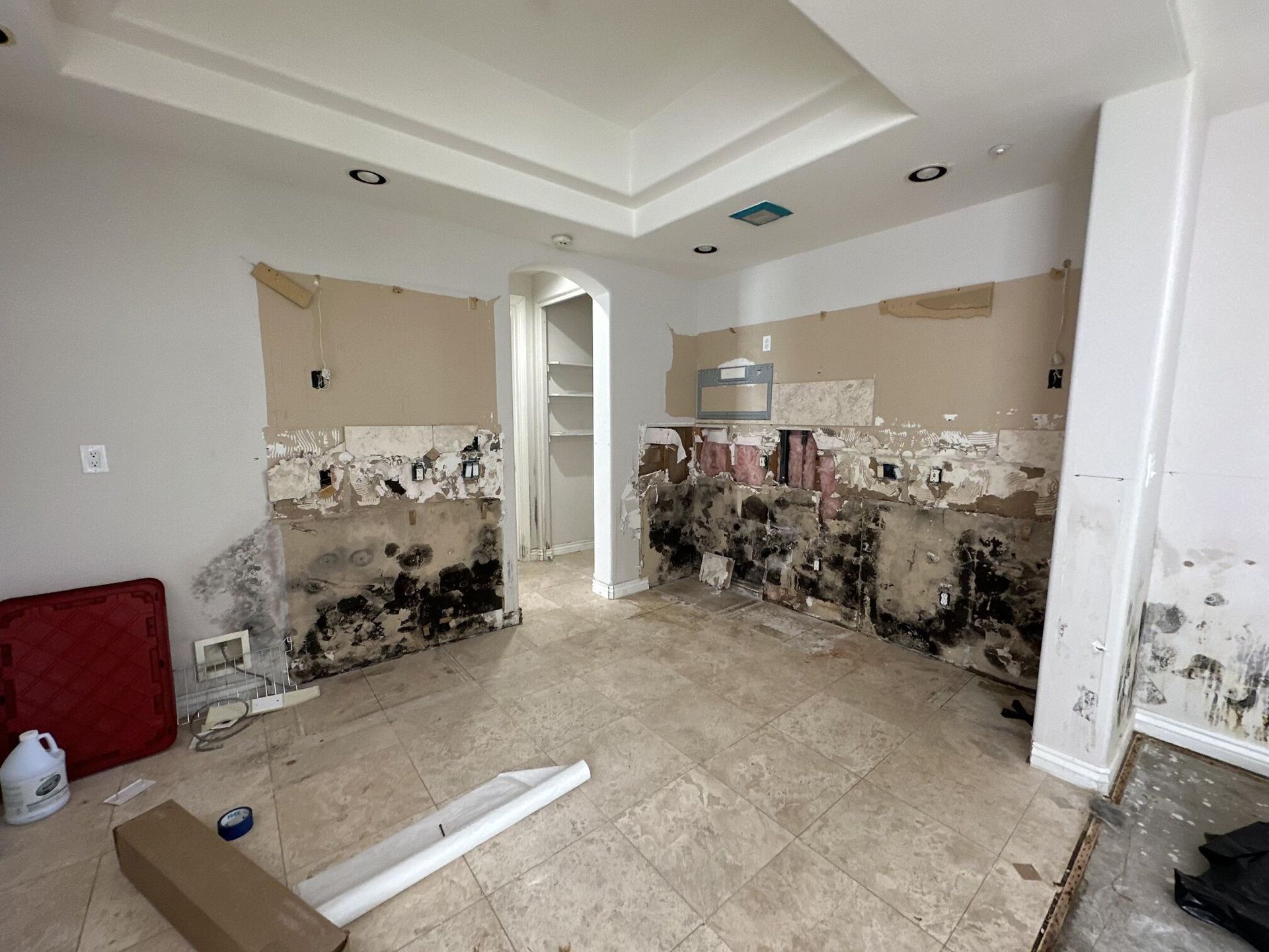 Interior of a room undergoing renovation, walls showing significant mold damage and exposed drywall. The floor is tiled, and there's a doorway.