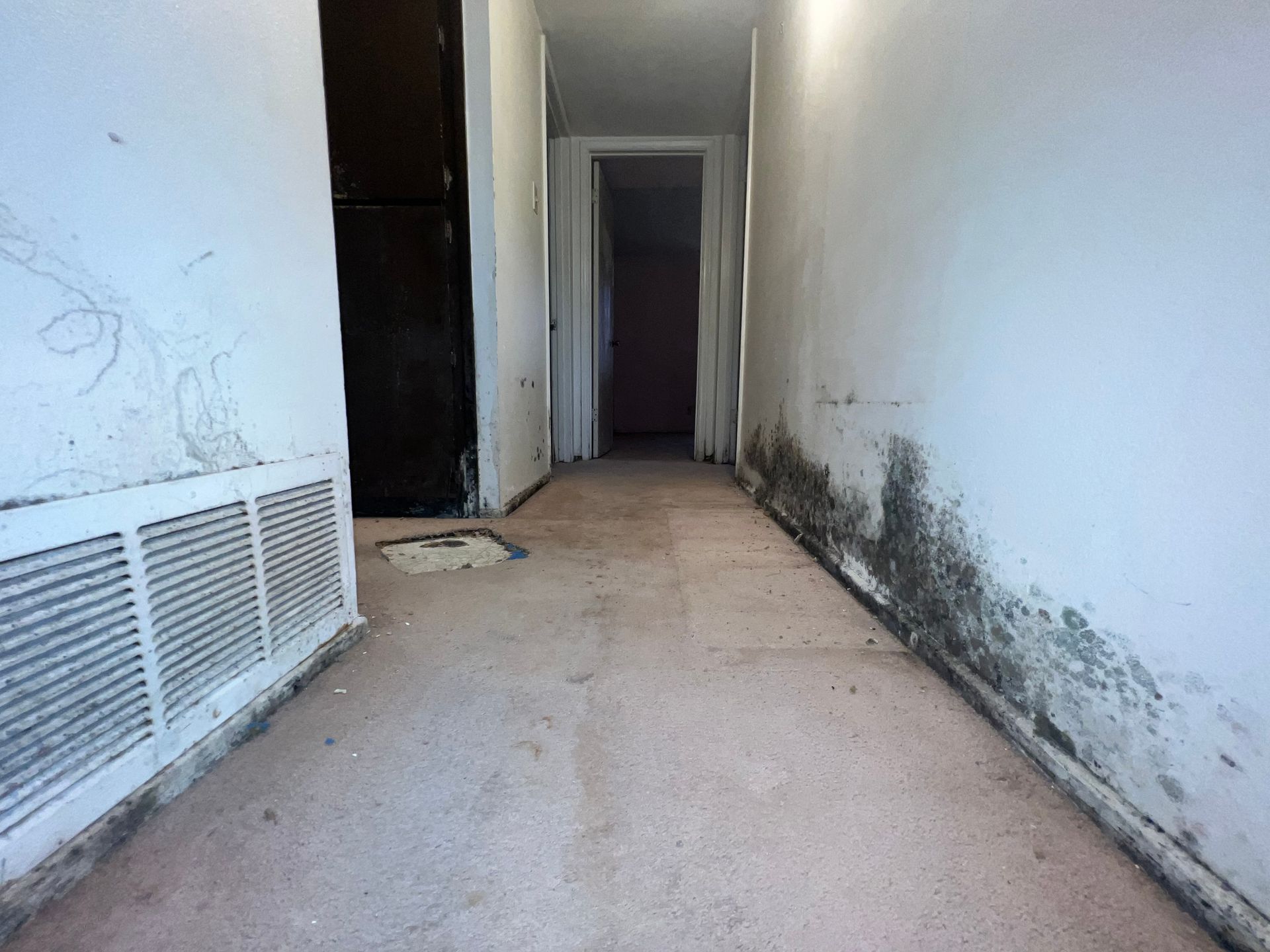 Moldy hallway with pinkish floor, vent, and doorway at the end.