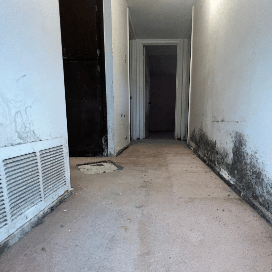 Mold-covered hallway with white walls, dark stains, and a vent. A door is at the end - serviced by United Response Restoration.