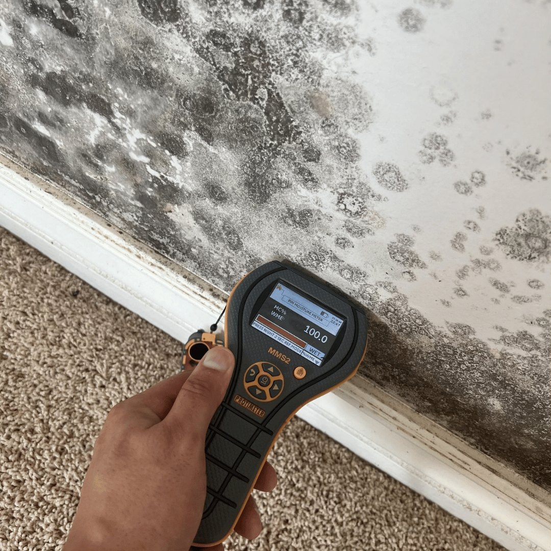 Mold growth inspection using a moisture meter along interior wall in a Chandler AZ home done by United Response