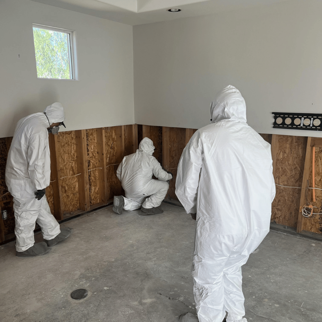 Technicians in full protective gear performing drywall removal after water damage in Paradise Valley. Ideal for restoration projects requiring safe cleanup and structural drying.