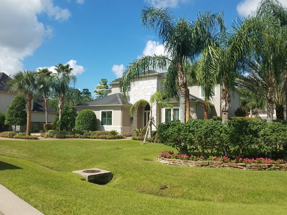 A house with a lot of palm trees in front of it