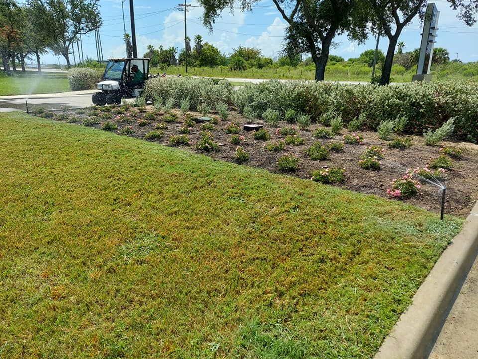 A golf cart is driving down a lush green lawn.