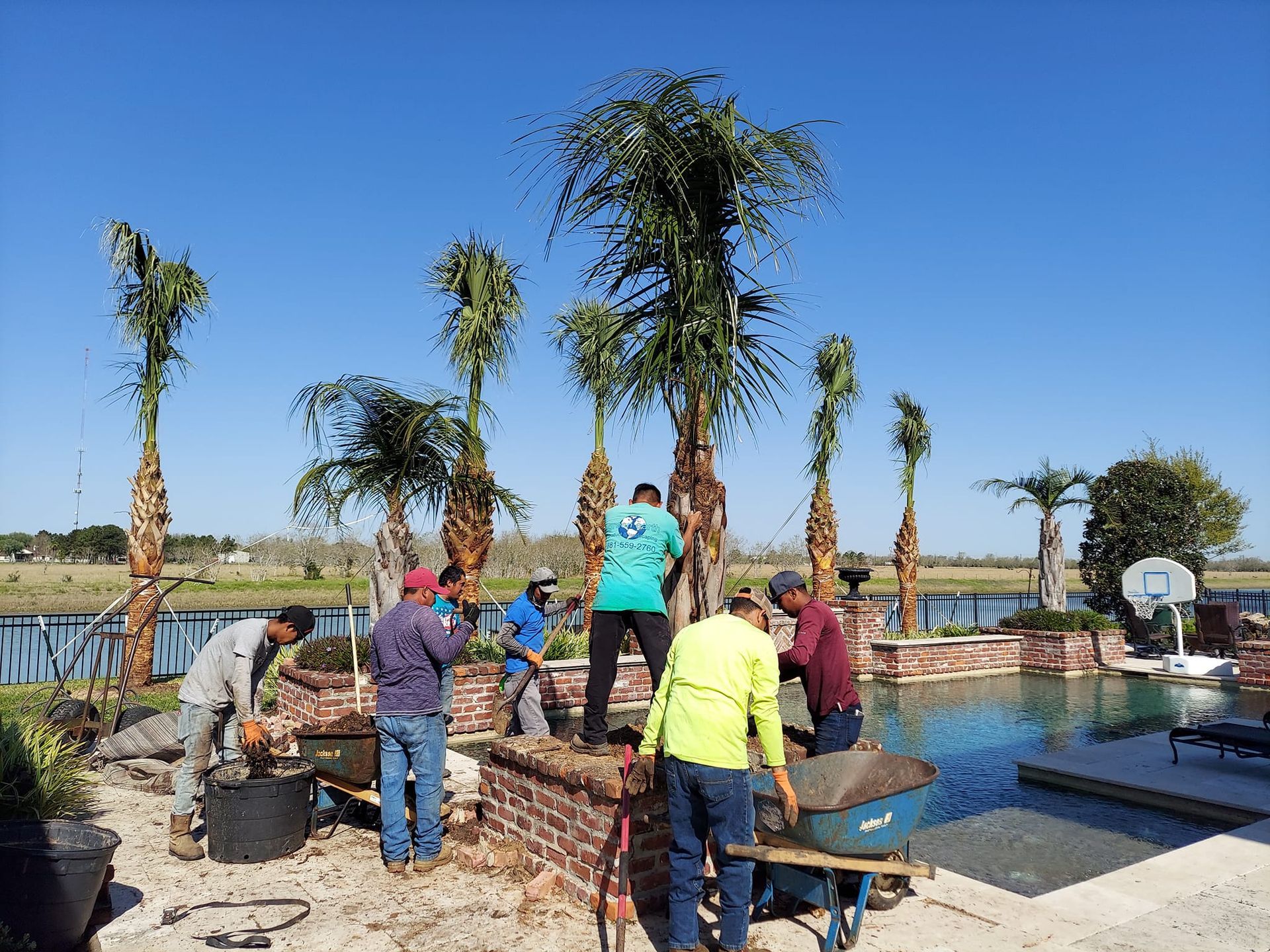 A group of people are working on a palm tree in front of a pool.