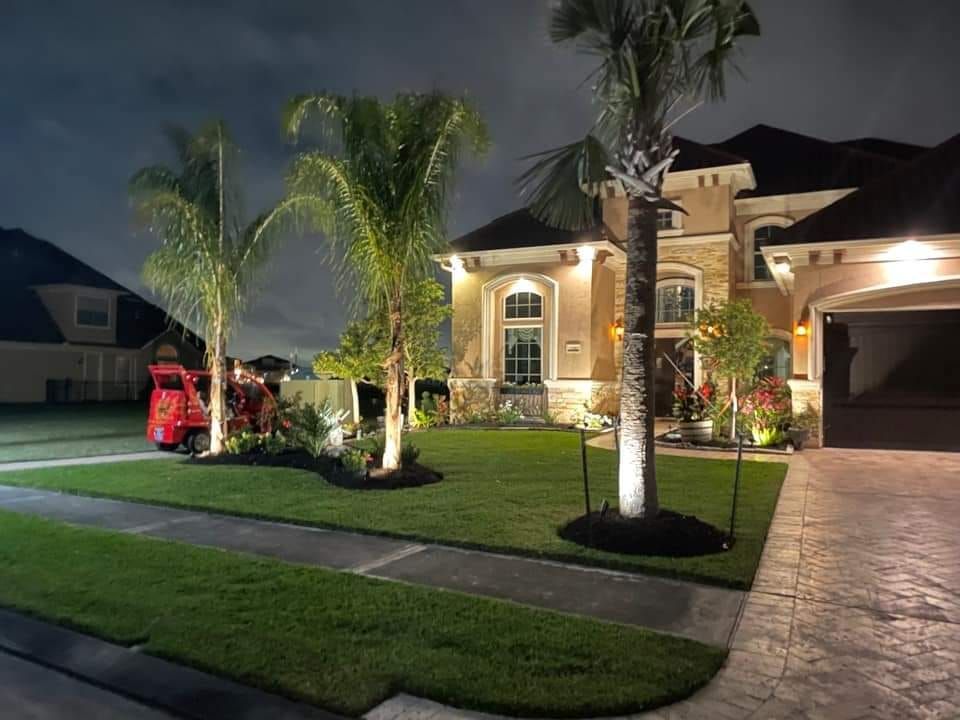 A house with palm trees in front of it at night