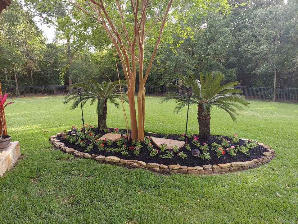 A garden with palm trees and flowers in the middle of a lush green field.