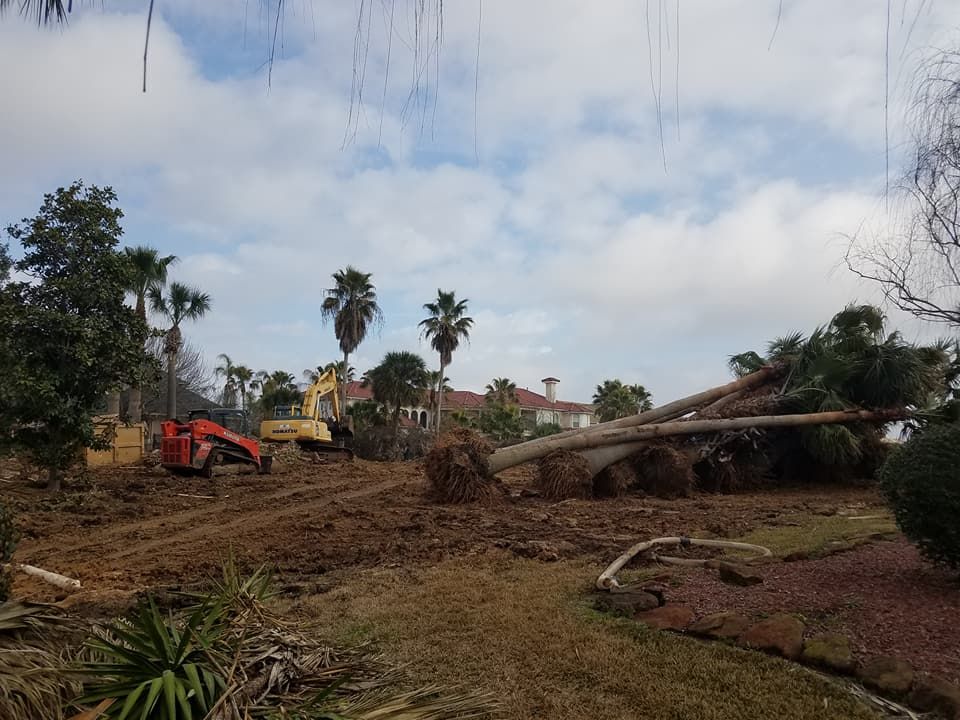 A large pile of trees is sitting in the middle of a dirt field.