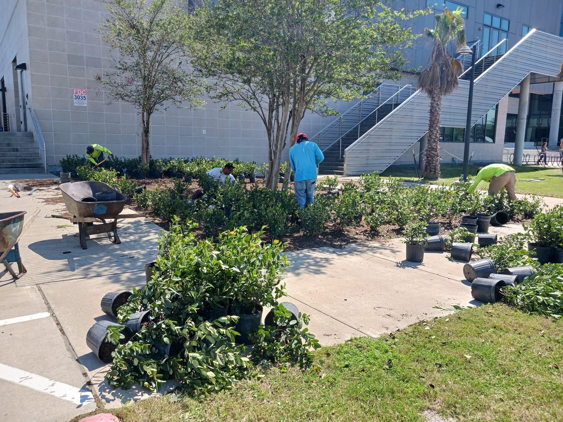 A group of people are working on a garden in front of a building.