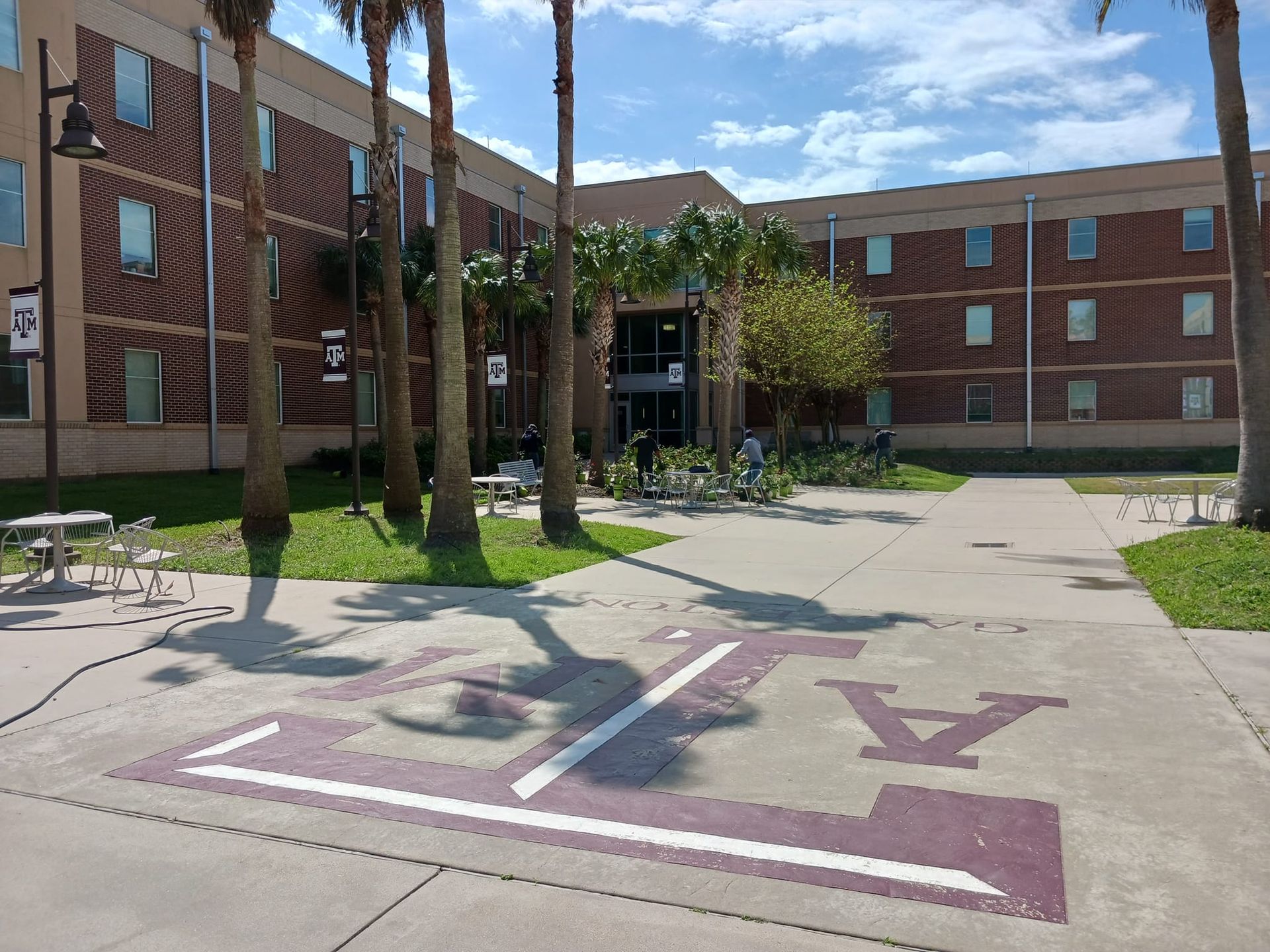 A brick building with palm trees in front of it
