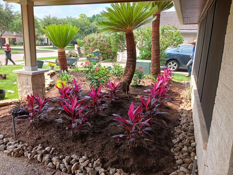 A garden with pink flowers and palm trees in front of a house.