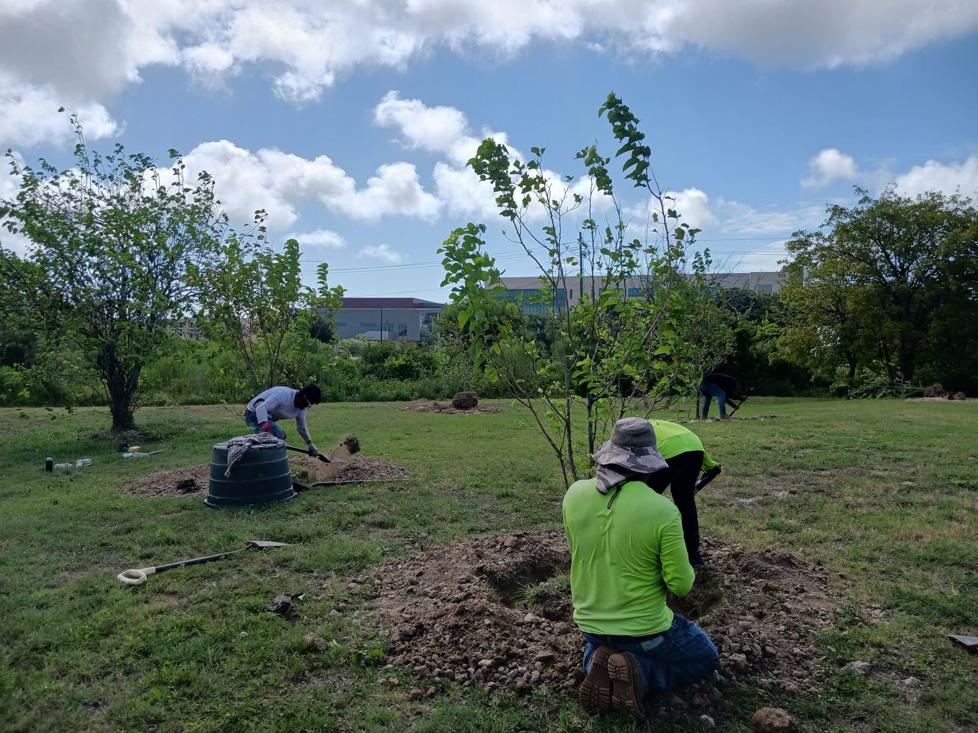 A group of people are planting trees in a field.