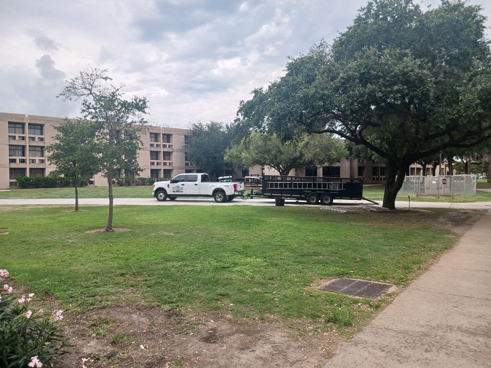 A white truck is parked in a grassy area next to a tree