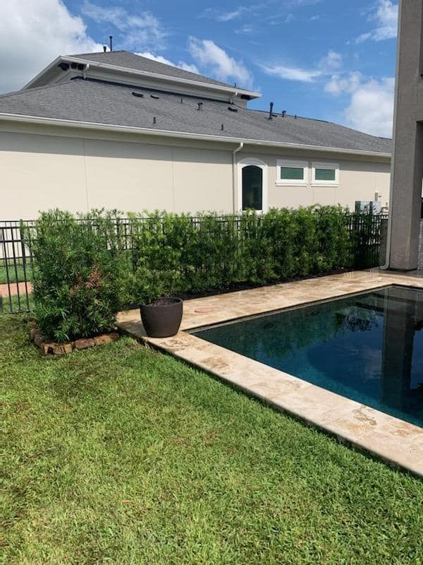 There is a swimming pool in the backyard of a house.