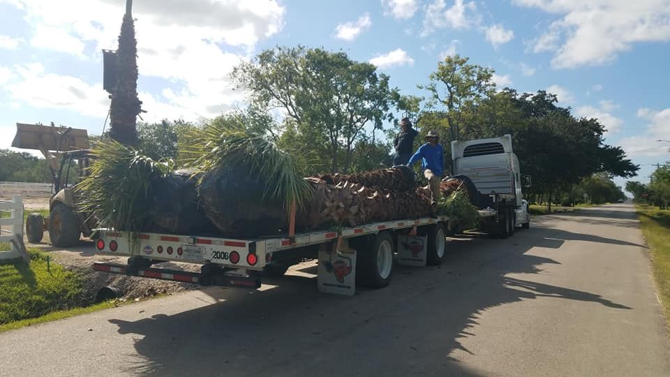 A semi truck is carrying trees down a road.