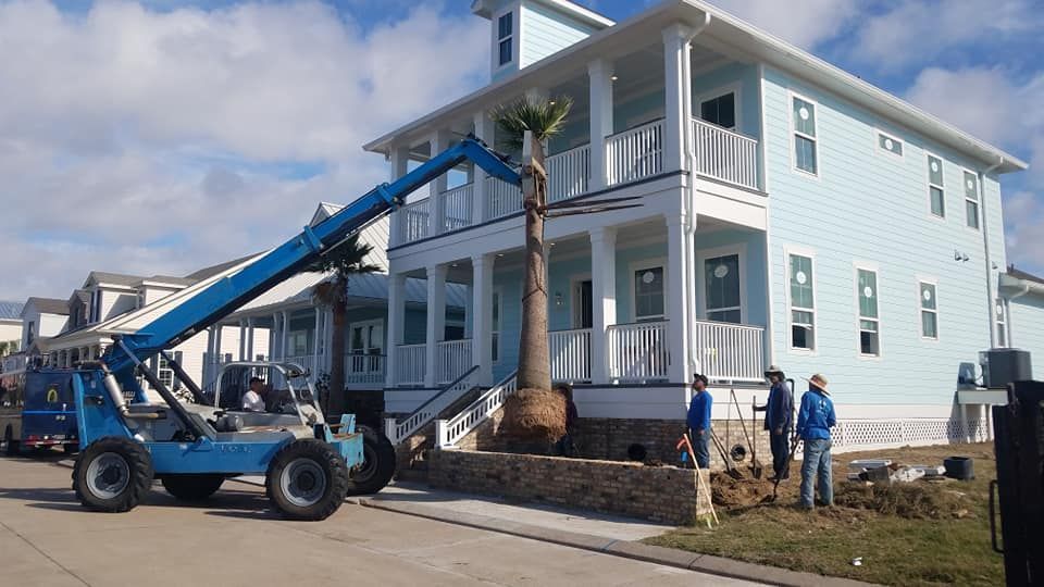 A crane is lifting a palm tree into a house.