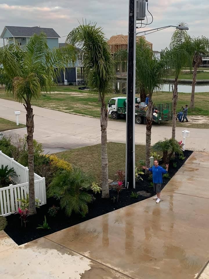 A man is standing in a driveway next to a palm tree.