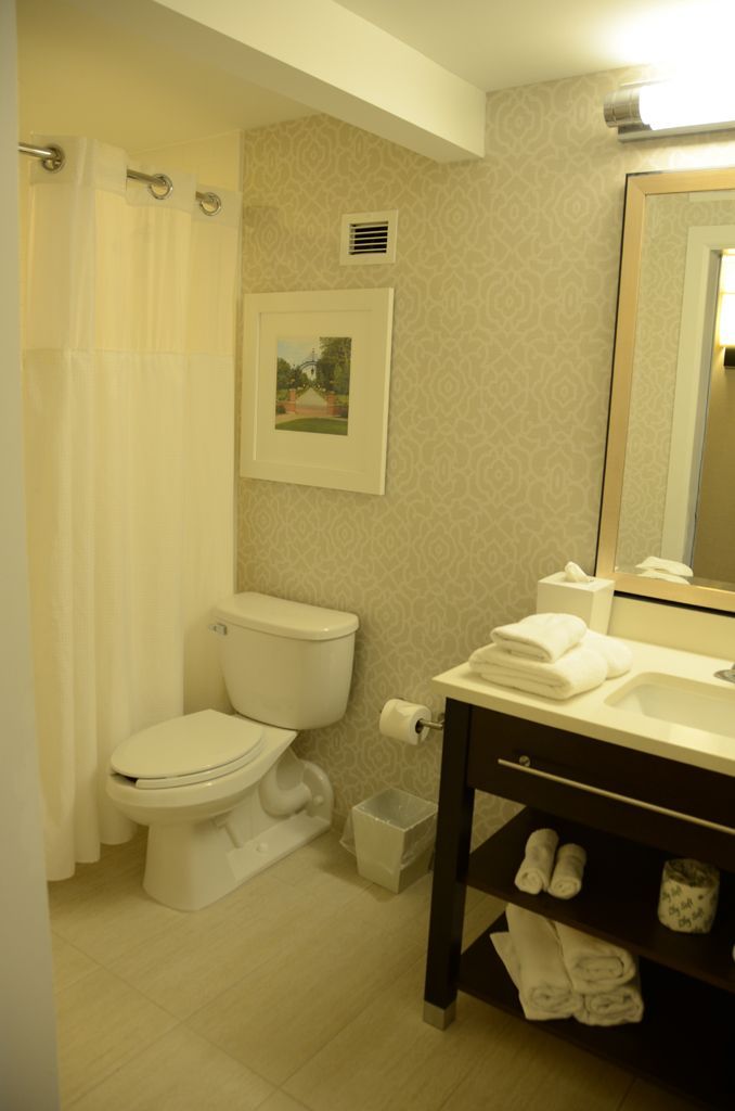 A bathroom with a toilet , sink , mirror and shower curtain.