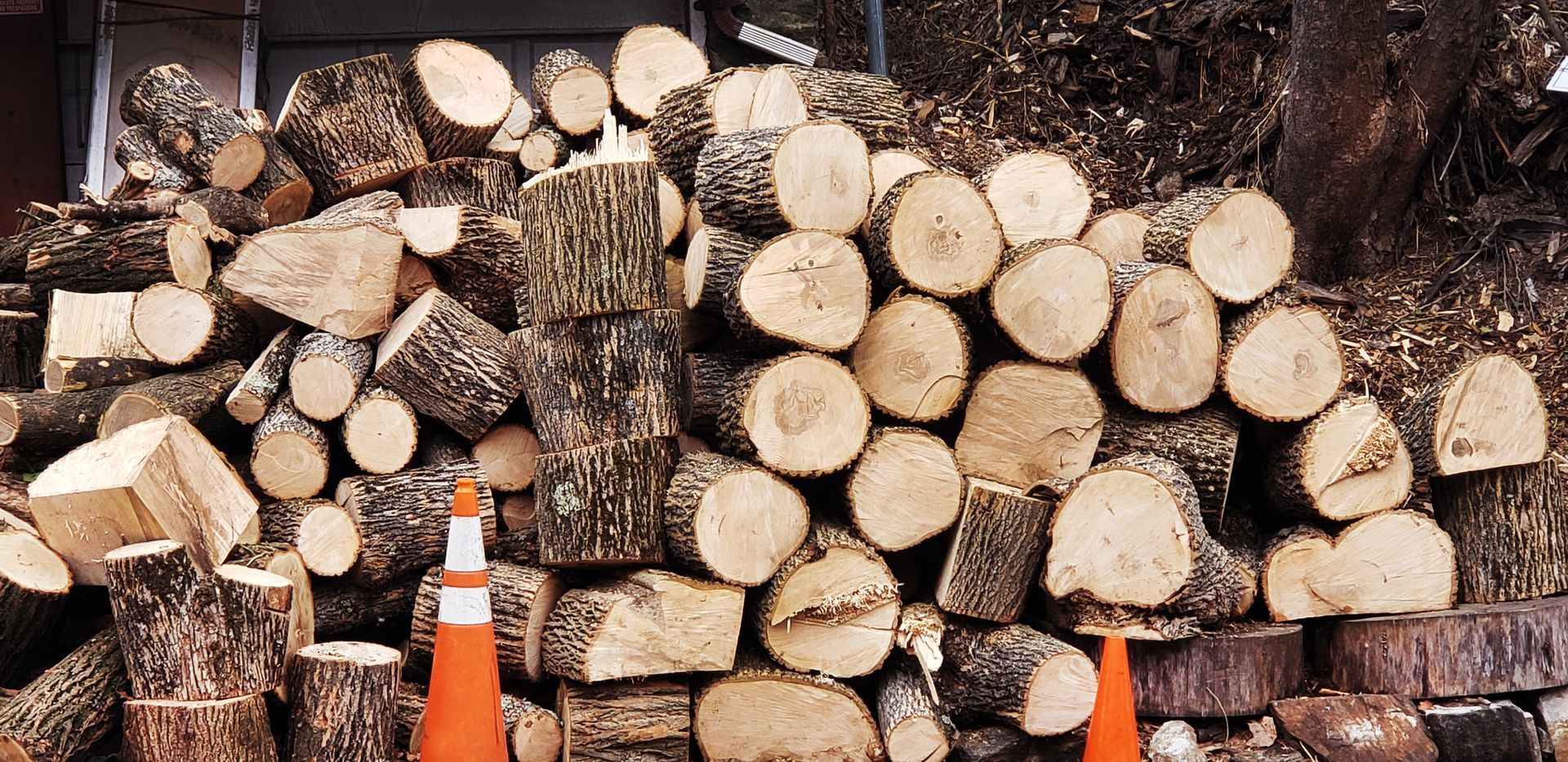 A pile of logs with two orange cones in front of it.