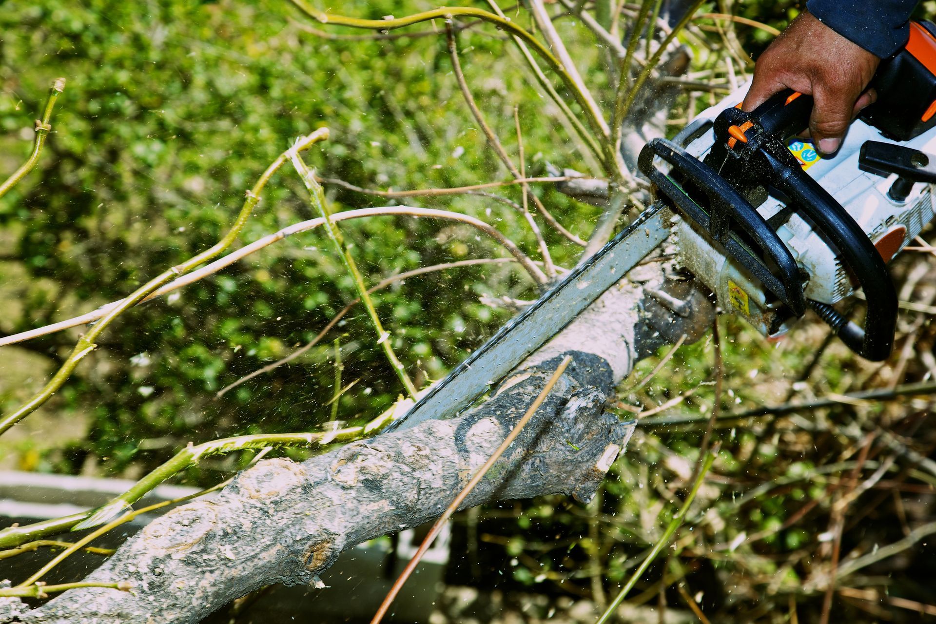 A person is cutting a tree branch with a chainsaw.