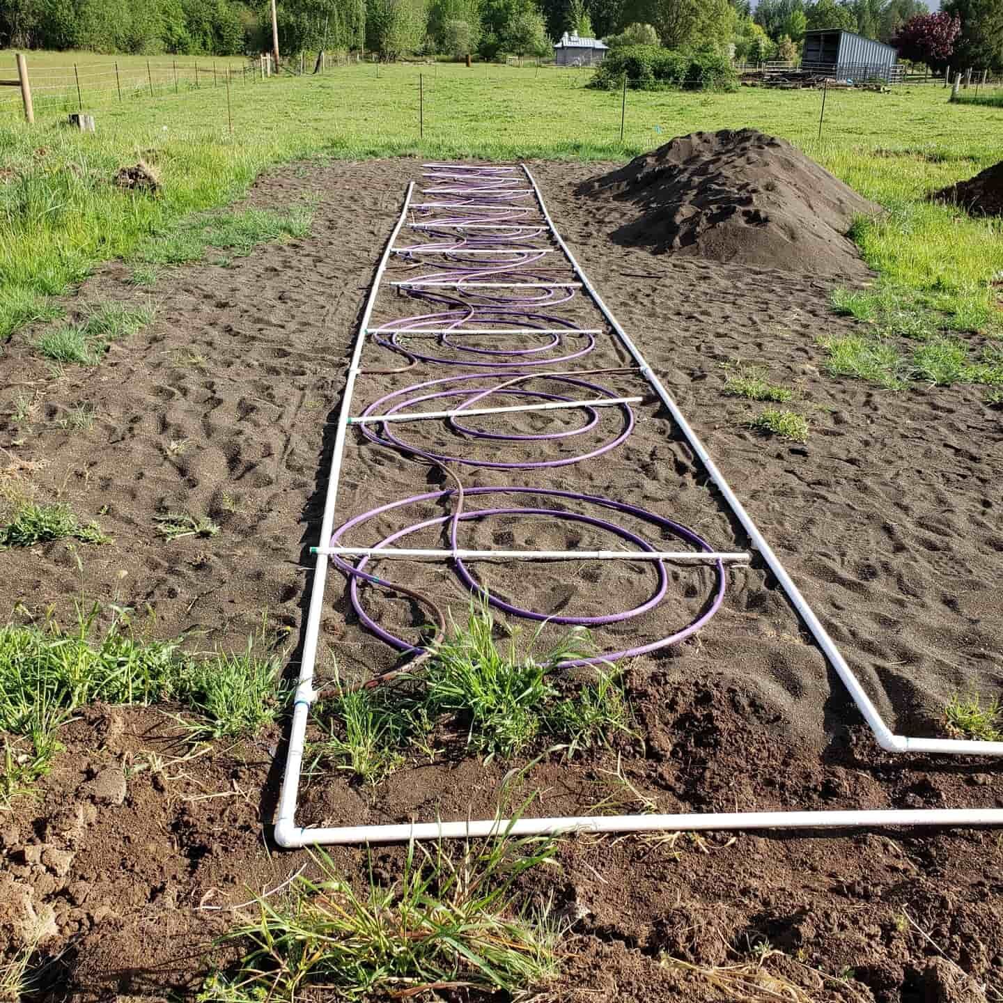 Purple tubing laid in a rectangular grid within a prepared garden bed.