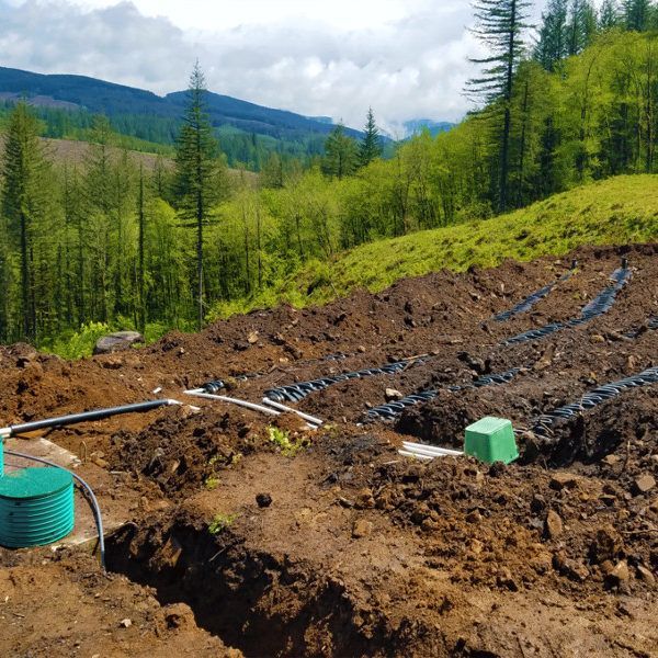 Septic system installation on a hillside: brown dirt, pipes, green tanks, forest background.