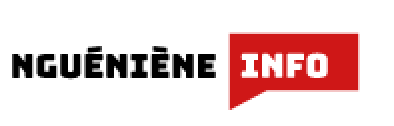 logo ngueniene info