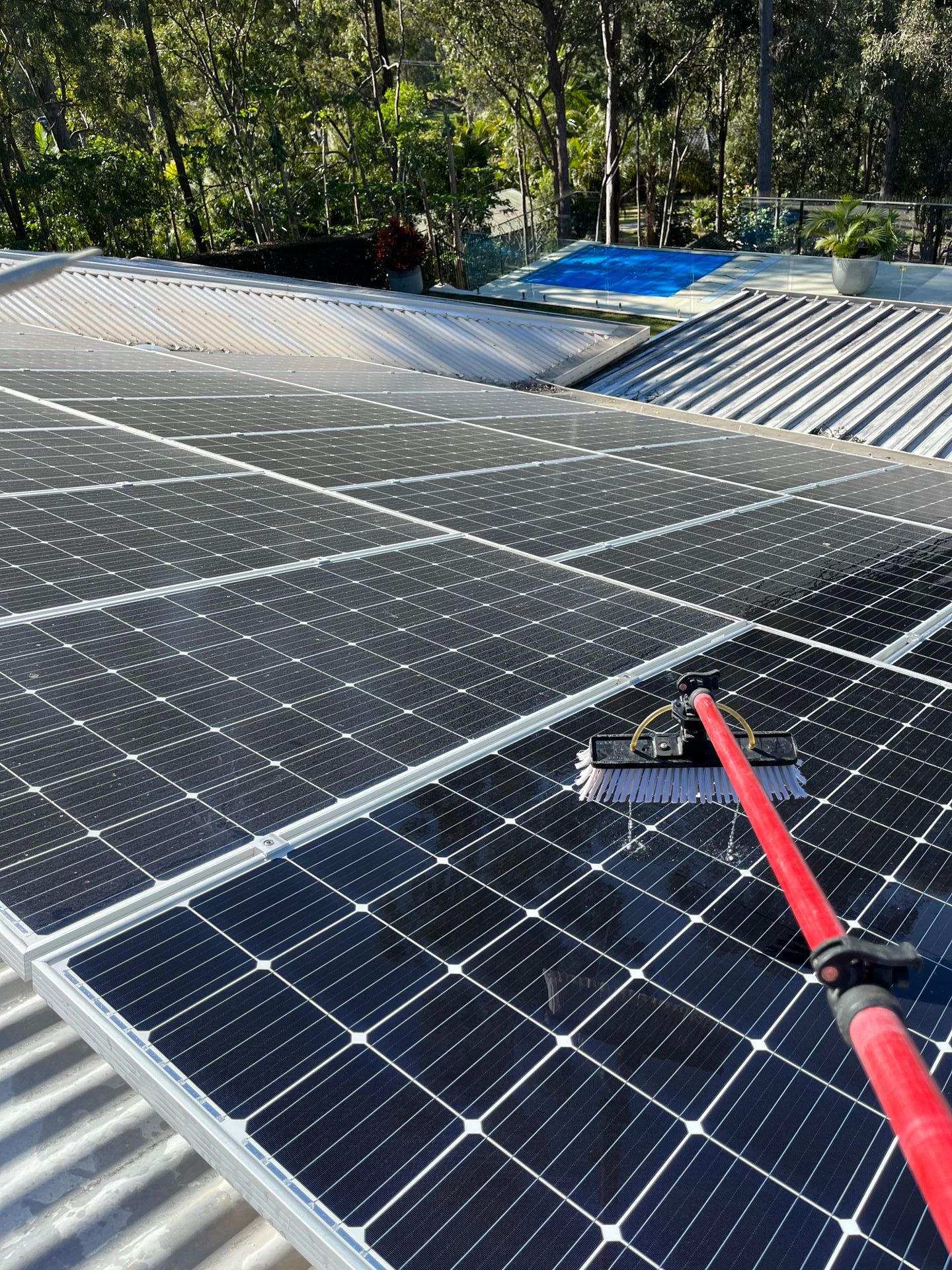 Seagull Perched on Roof Top Covered in Freshly Cleaned Solar Panels — Jackson’s Window Cleaning in Nerang, QLD