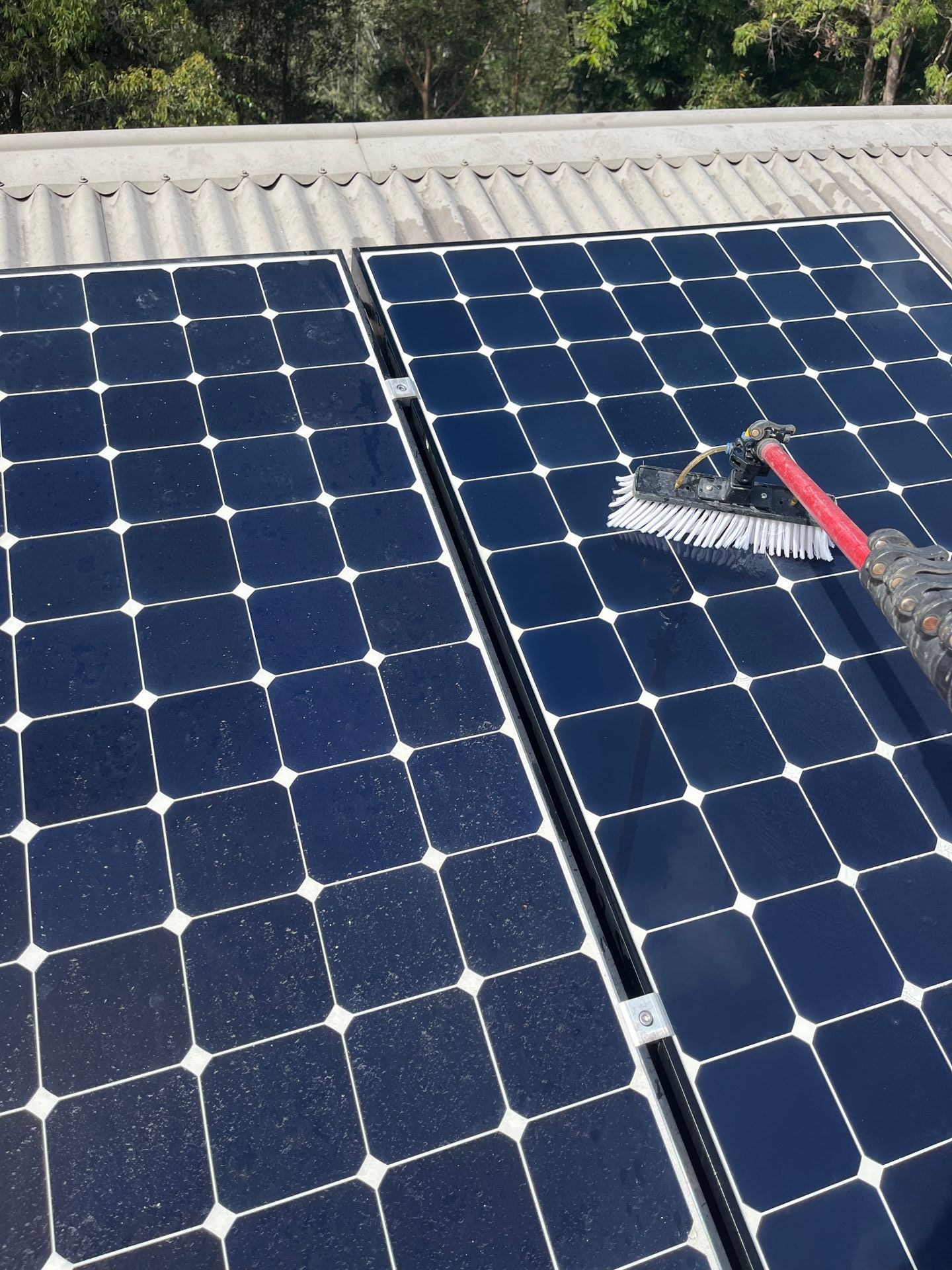 Driveway Being Cleaned — Jackson’s Window Cleaning in Nerang, QLD