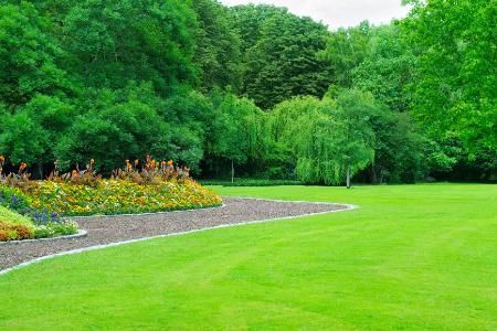 A lush green field with trees and flowers in the background.