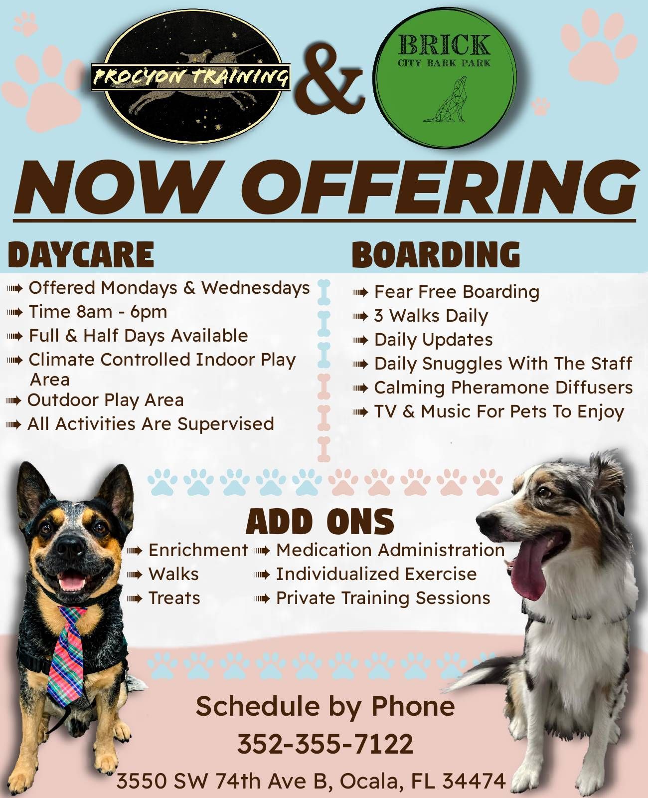 Ocala Dog Park Boarding Daycare