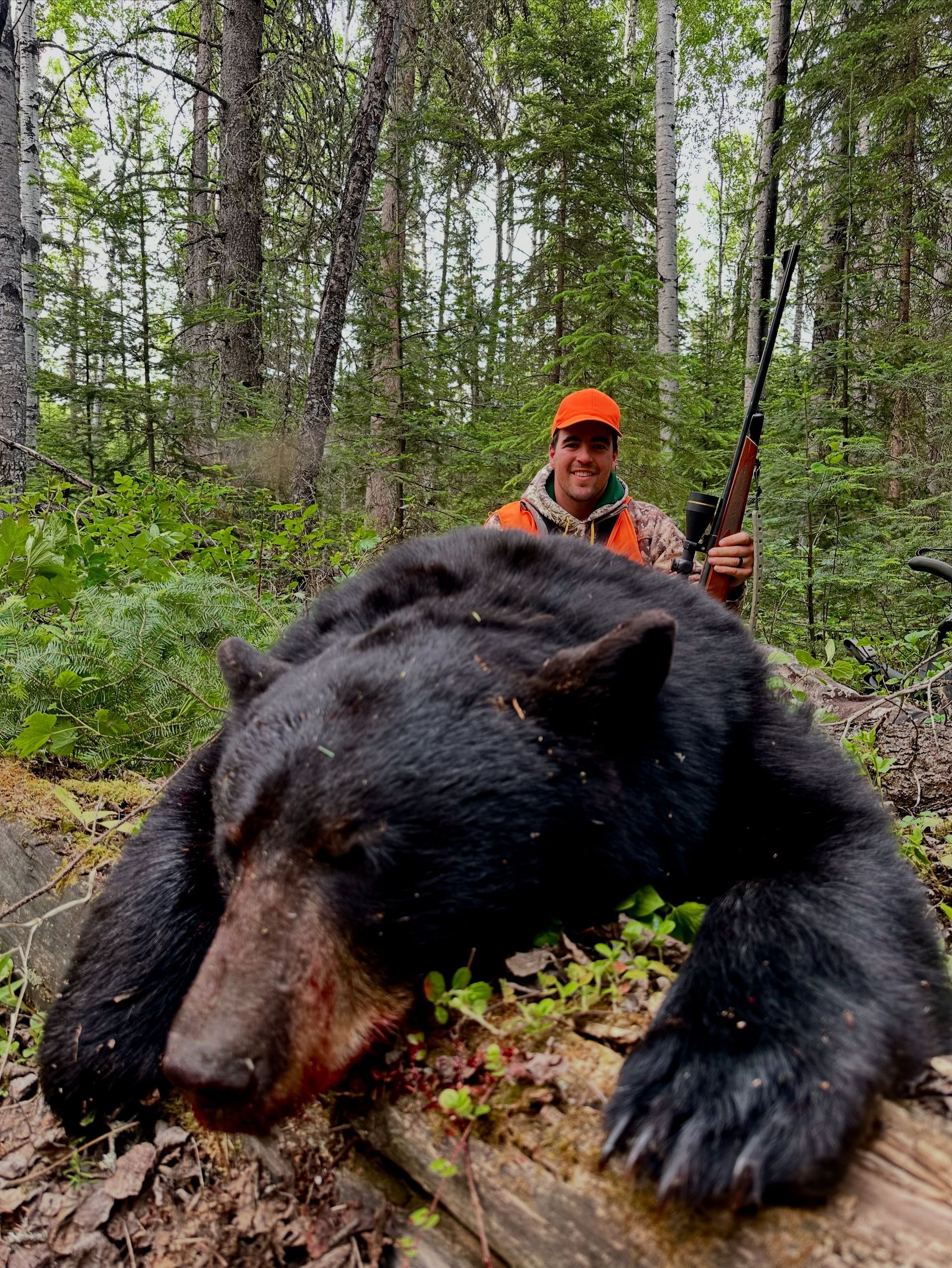 A man is standing next to a large black bear in the woods.