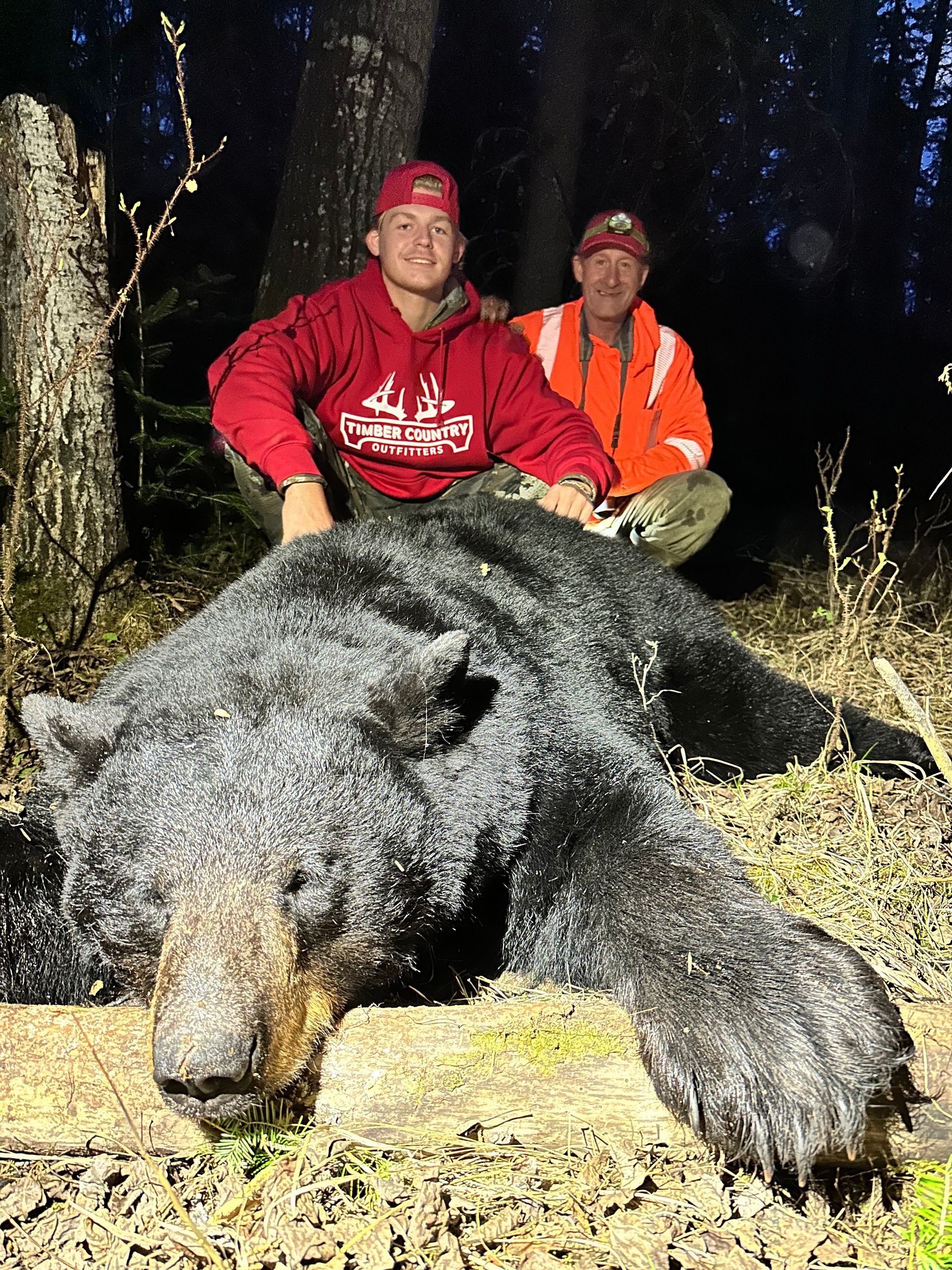 bear hunting outfitters