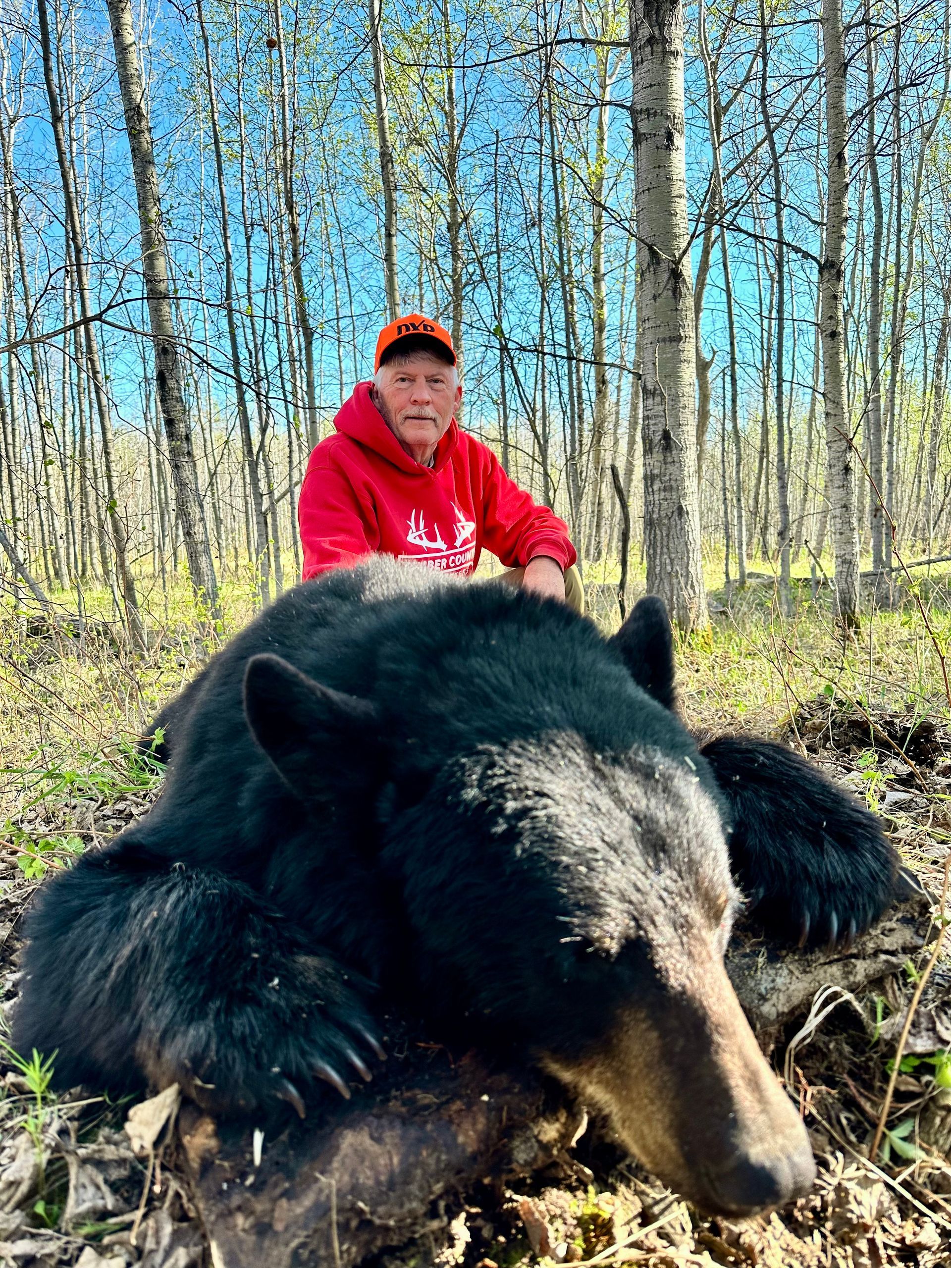 giant bear harvested