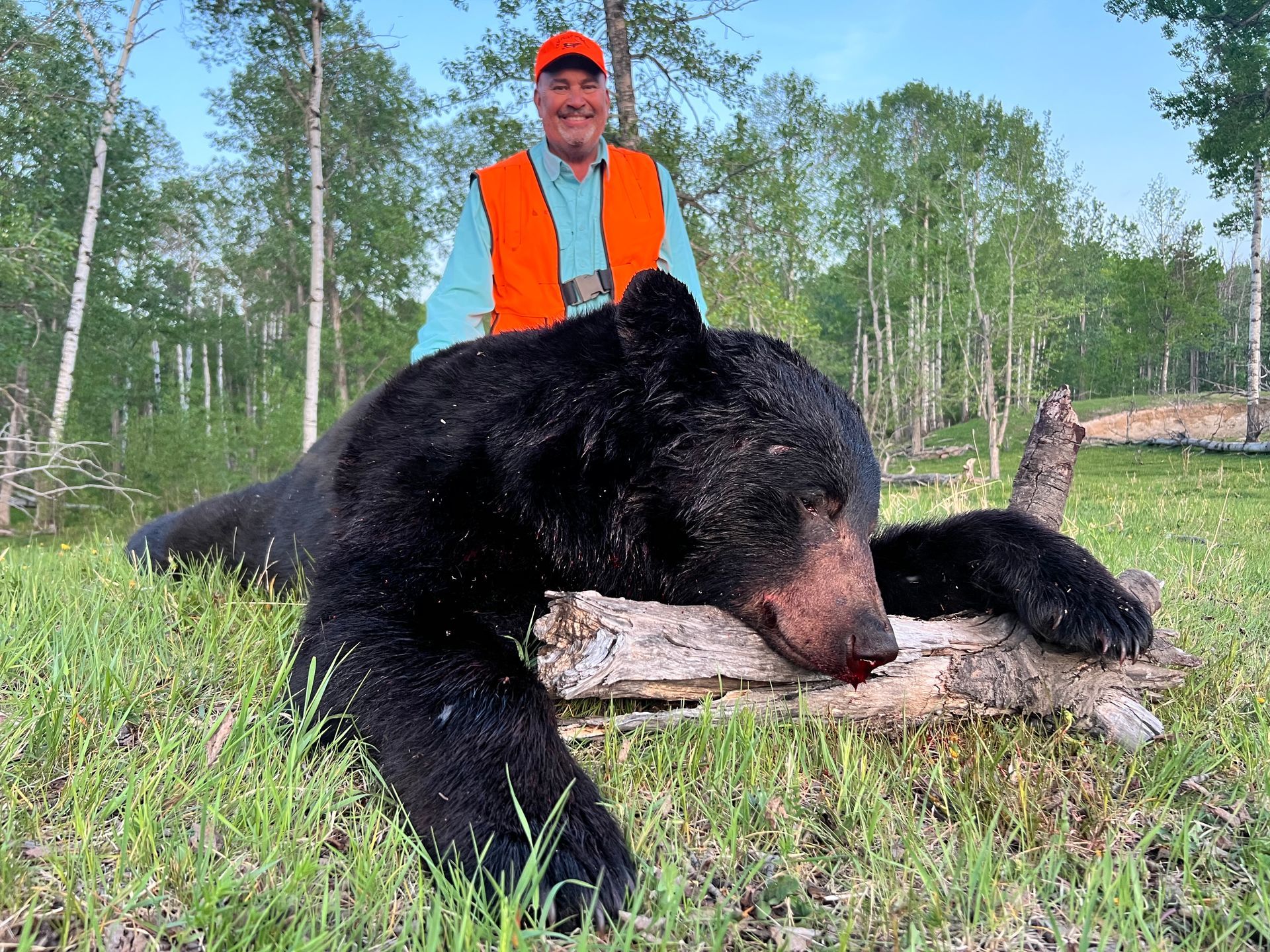 canada bear hunting
