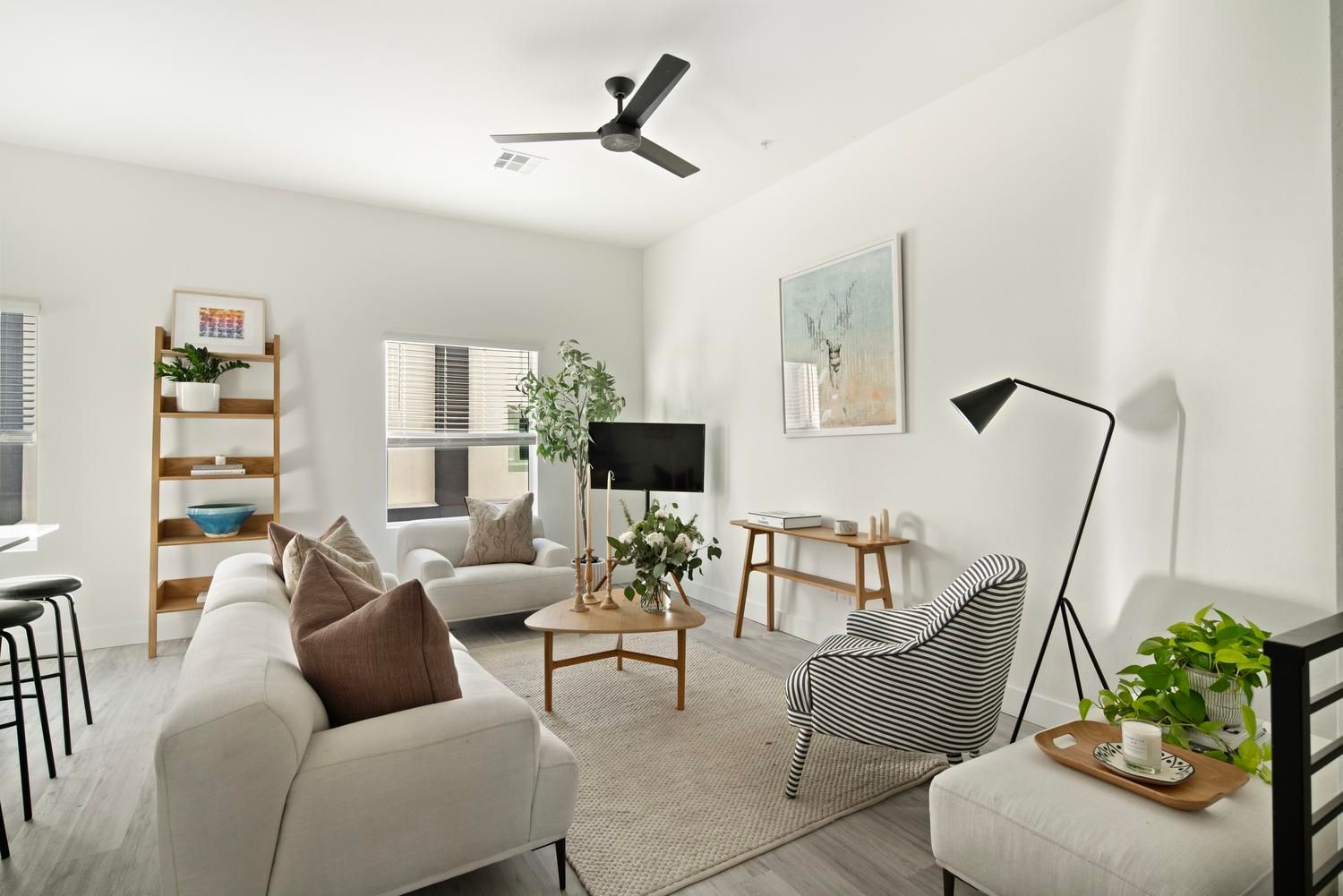 Modern Apartment Spacious Living Room