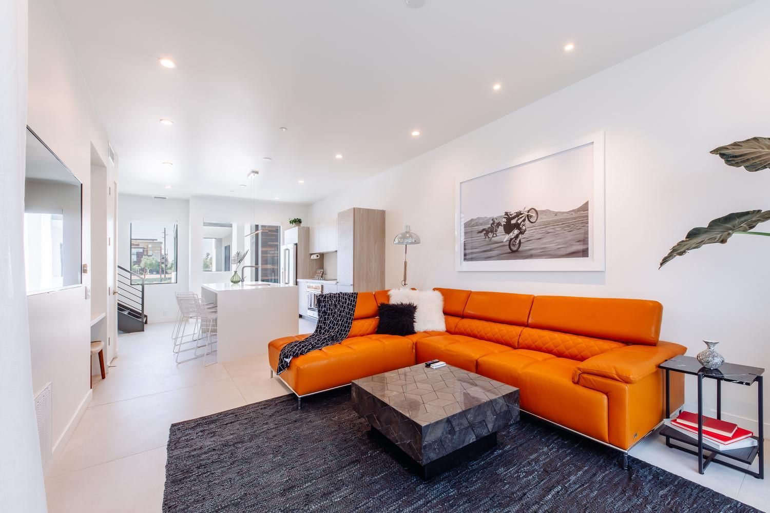 Modern Apartment Spacious Living Room