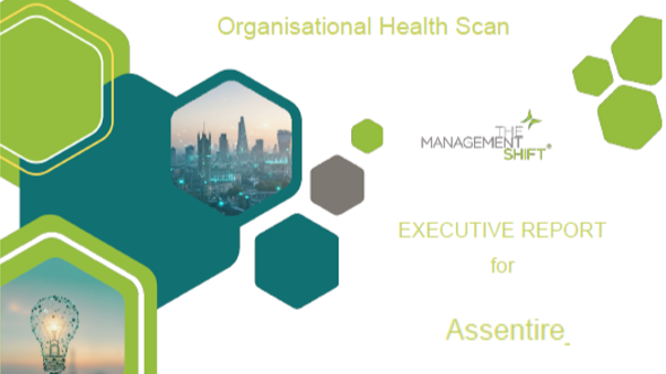 Executive report cover OHS scan CII