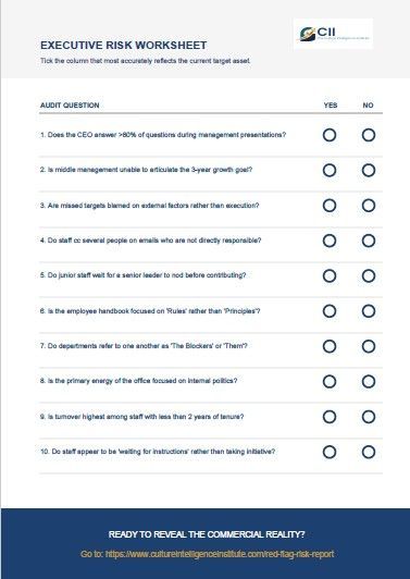 Executive Risk Worksheet, a checklist with 10 questions and Yes/No options for auditing potential risks.