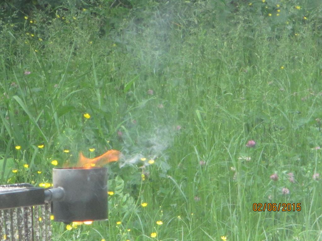 Ein brennendes Feuer in einem Metallbehälter auf einer Wiese mit gelben Blumen und Klee. Rauch steigt auf.